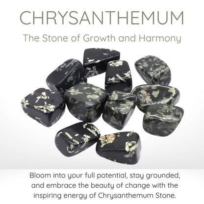 Chrysanthemum Stone Crystals