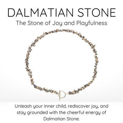 Dalmatian Stone Choker Necklace