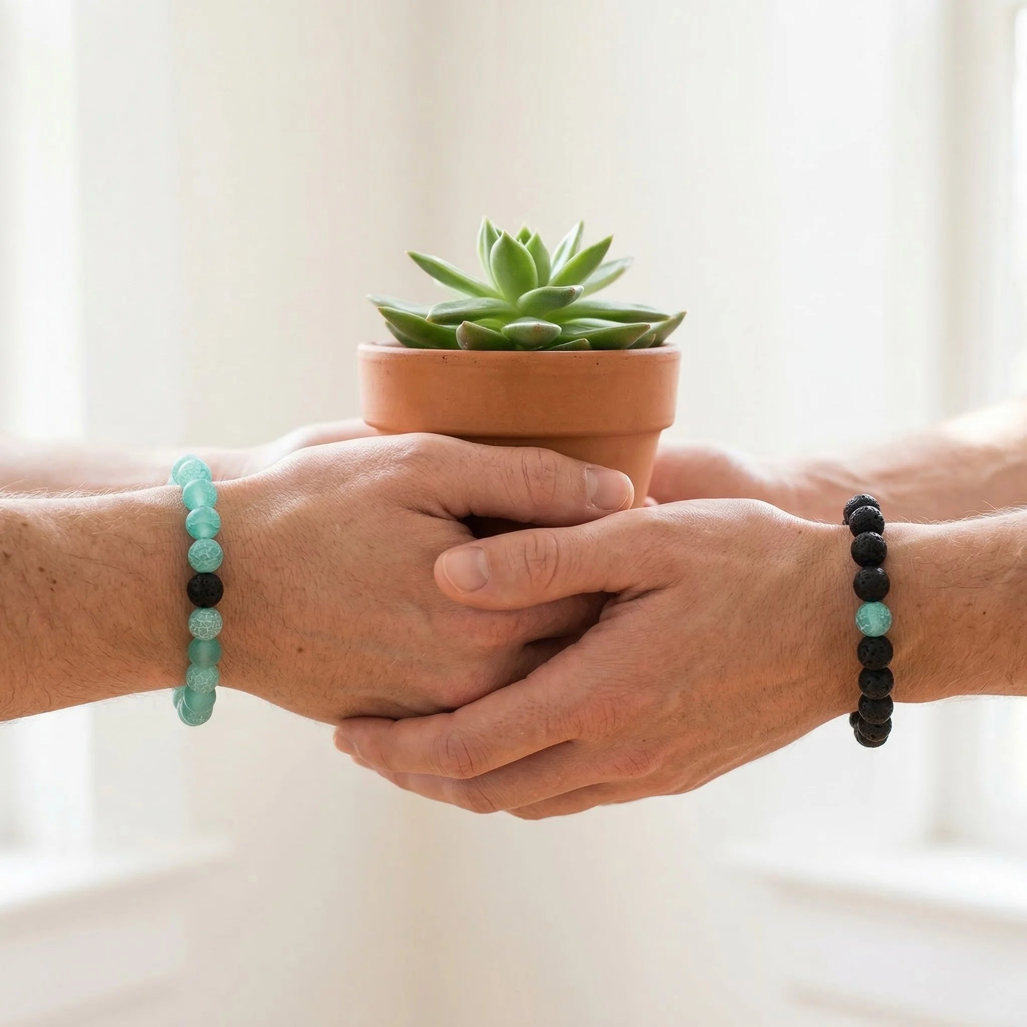Two hands holding a small potted succulent plant with bracelets on a light background