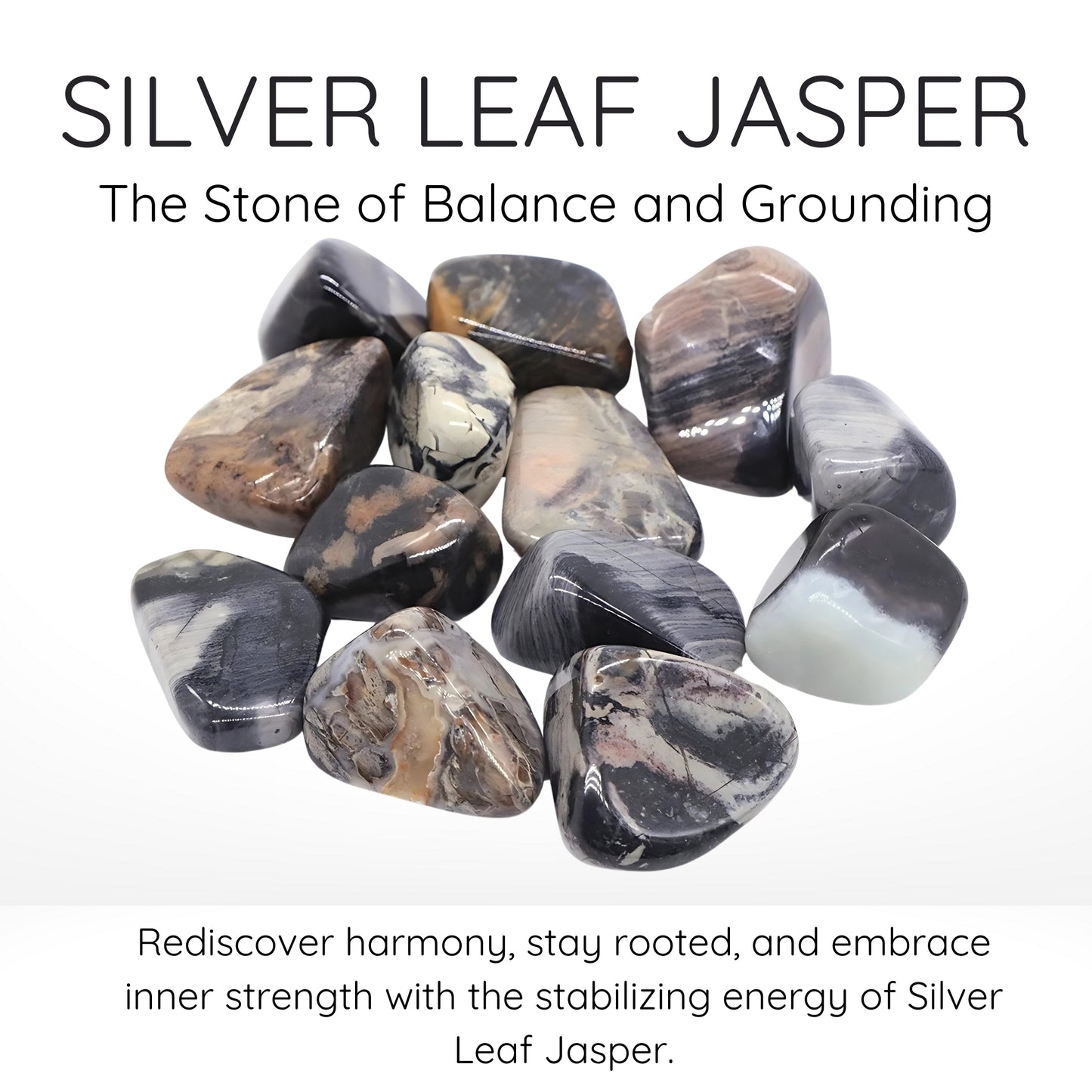 Silver Leaf Jasper Crystals