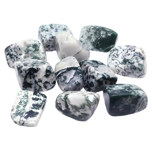 Tree Agate Crystals